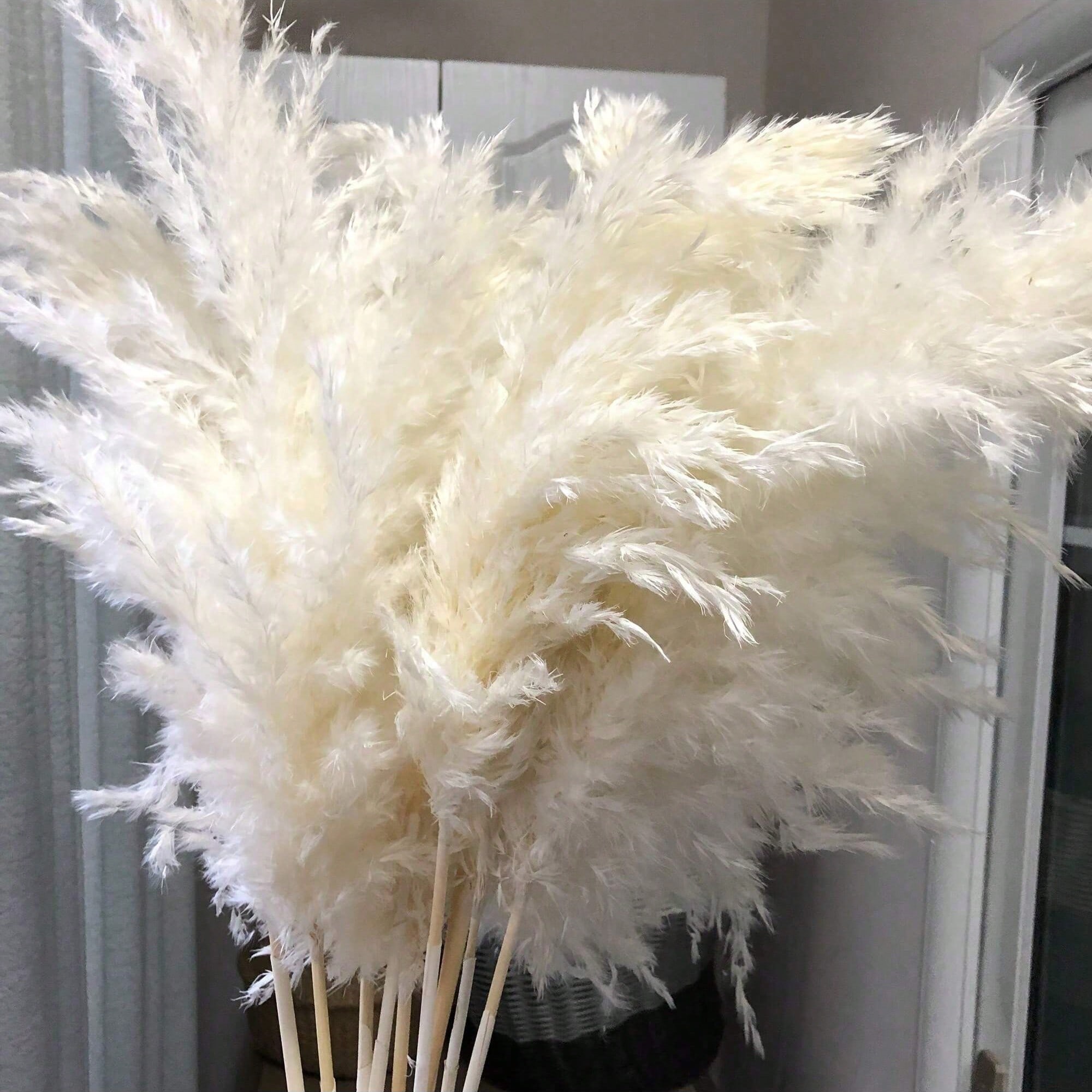 10/20/30pcs White Artificial P - Pampas Grass Decor review and price