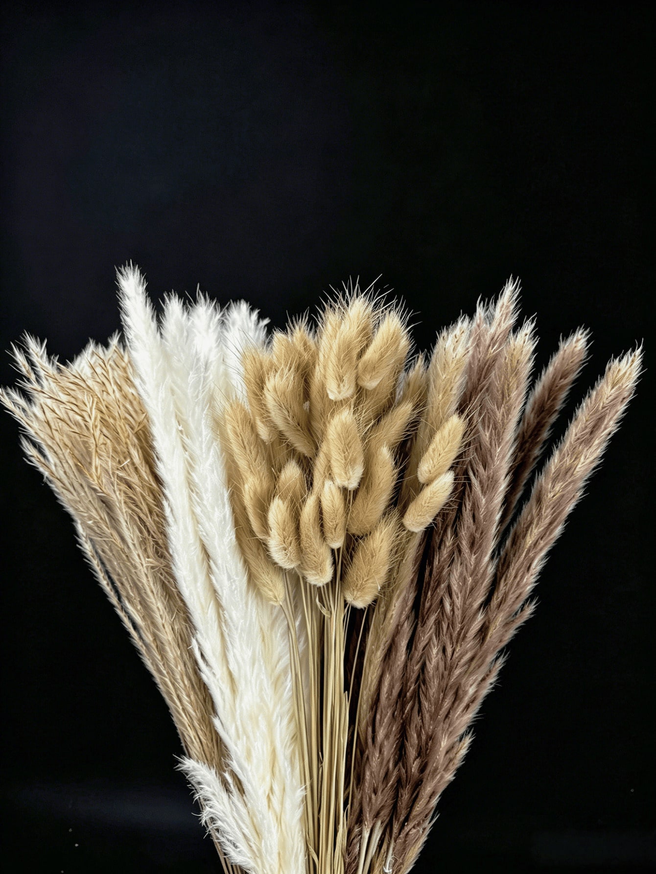 10/20/30pcs White Artificial P - Pampas Grass Decor review and price