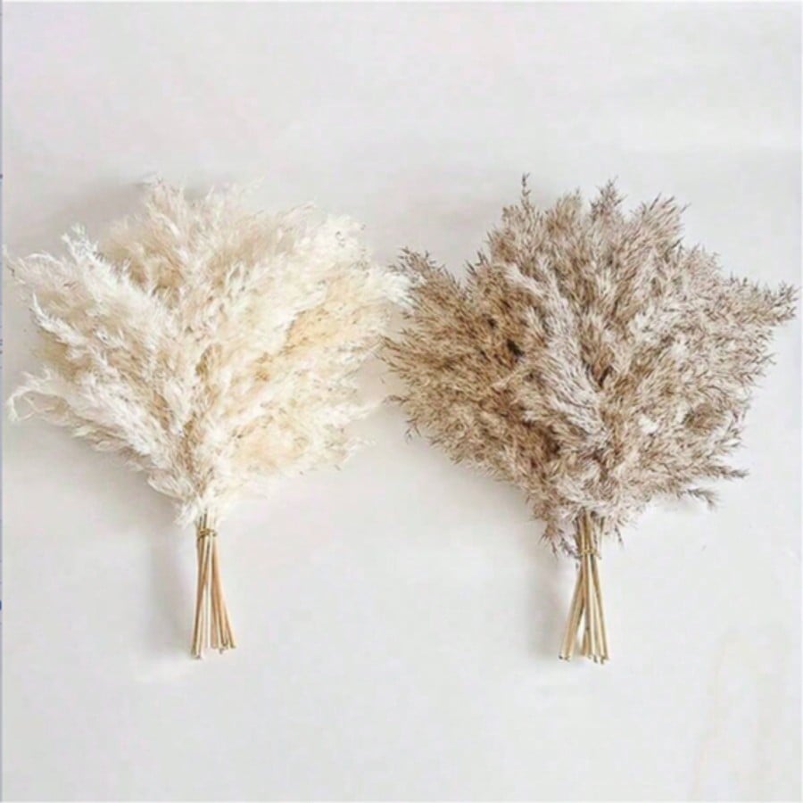 10/20/30pcs White Artificial P - Pampas Grass Decor review and price